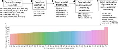 Field and in-silico analysis of harvest index variability in maize silage